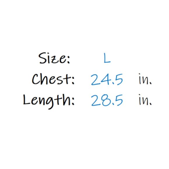 Colosseum Michigan State Spartans Hoodie Gray - L - Picture 4 of 4